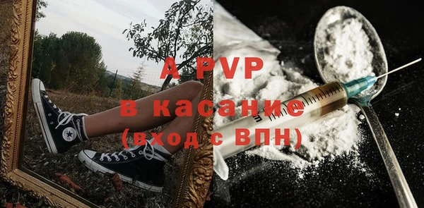 шишки Краснослободск