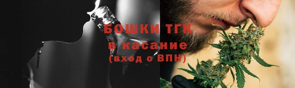 шишки Краснослободск