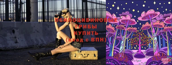 шишки Красноперекопск
